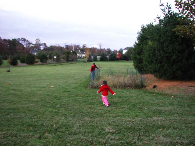 Trebuchet2003-49