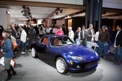 NYAS_2k7_171