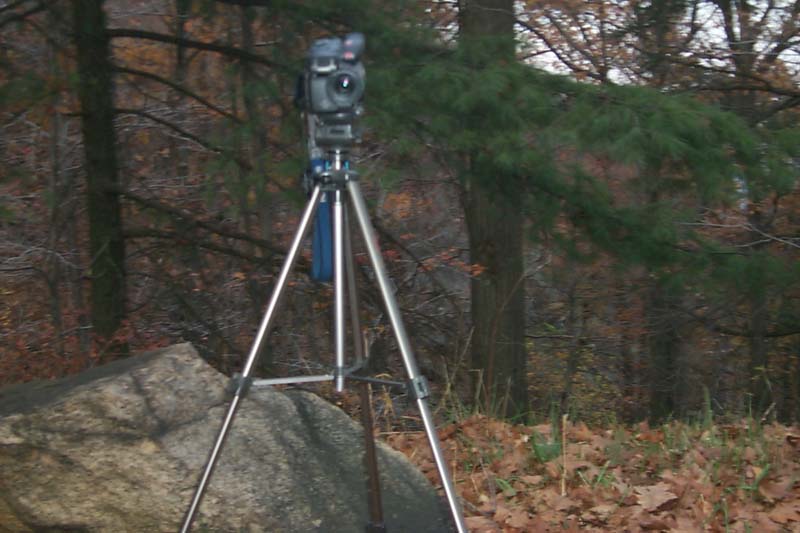 mgh89