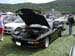 LimeRock173