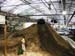 NYAS_2004_Jeep_11