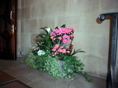 markandlaura 091