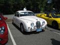 ferrarichat28